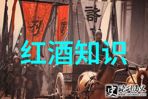 喵呜百态猫咪的多姿多彩