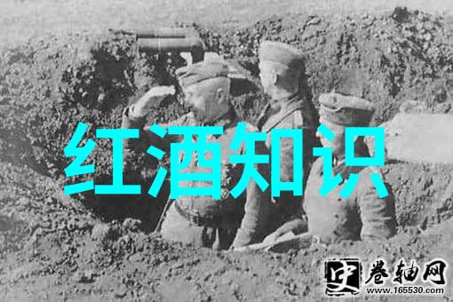 文化融合大作战跨国交流的挑战与机遇