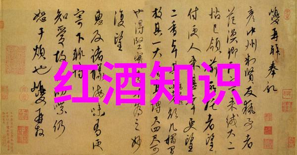 世界级庄园参观体验深入法国最著名的葡萄园之一