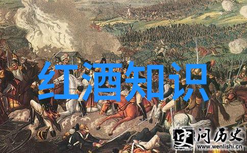 喝红酒一年变迁保乐力加销量历史新高2022年创佳绩