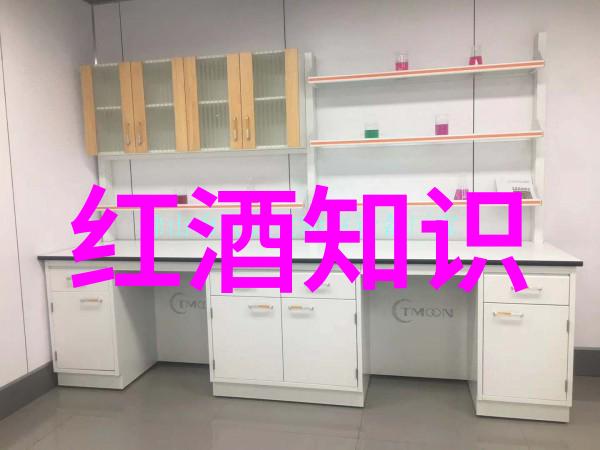 辛亥革命的历史意义我们为何要记住1911年的那一刻