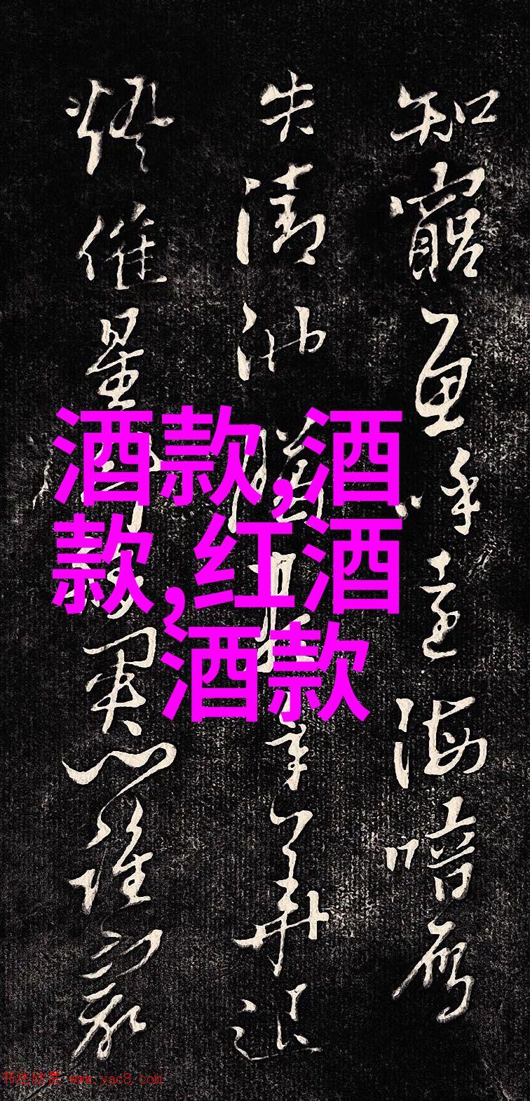追忆时空的足迹隐秘的搜索之旅