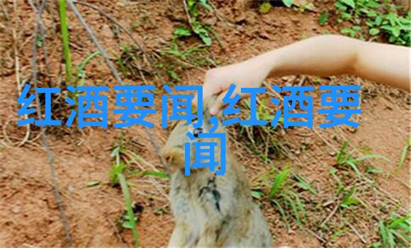 庄园与城堡的区别探究历史演变与文化特征分析