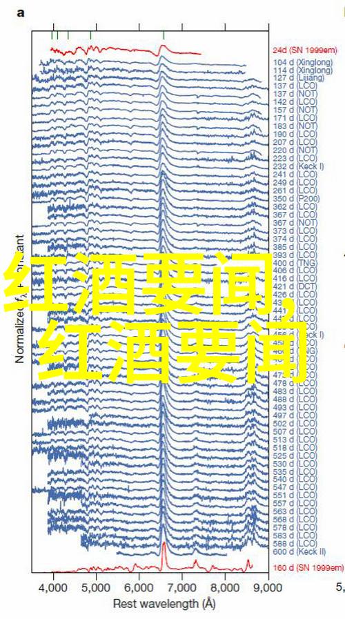 收藏界杂志社探索古籍与艺术珍品的世界