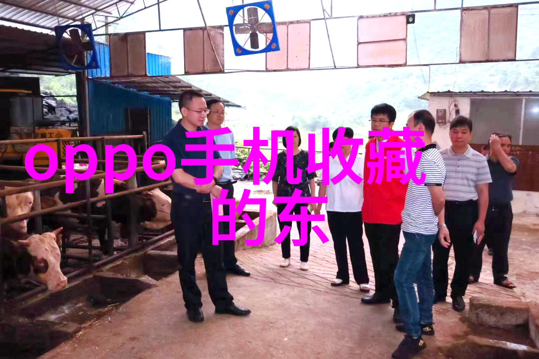 2022年个人喜好调查问卷我来告诉你这些问题是怎么回事