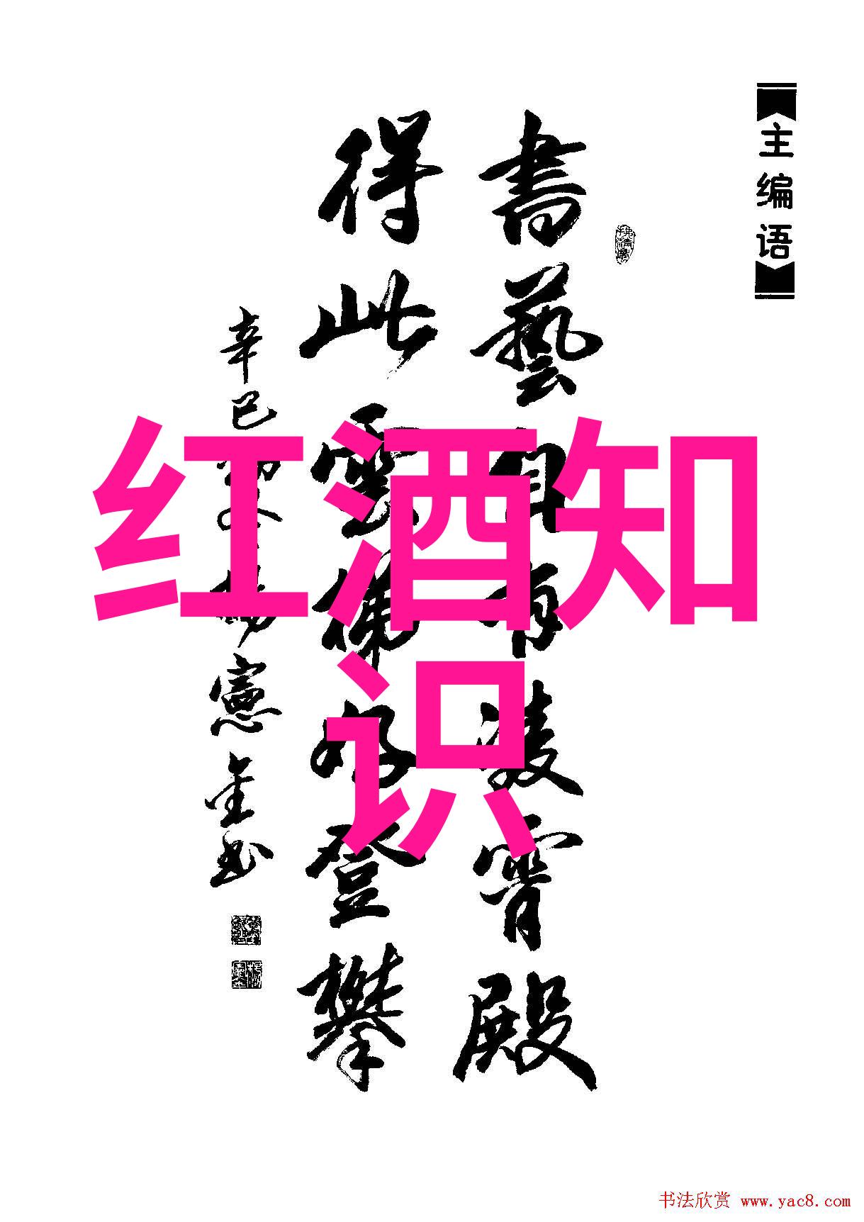 猫咪图片大全大图-喵呜时尚探索猫咪最美瞬间的图片大全