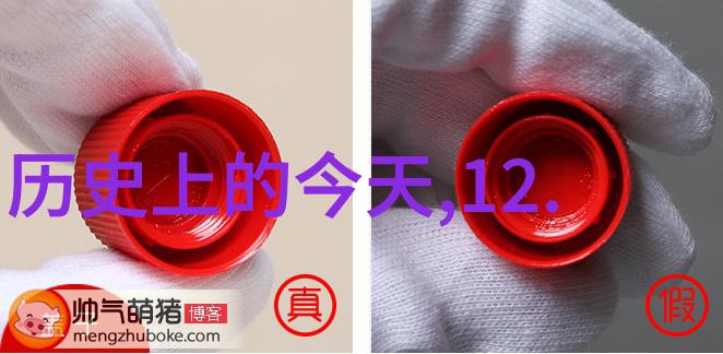 中世纪欧洲庄园的居民数量探索封建时期的社会结构