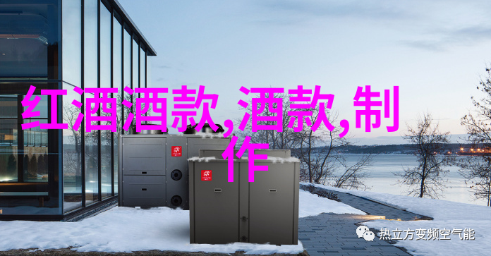 渣A酷O青春偶像团体的魅力与挑战