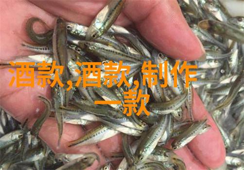 猫的世界银发美人鱼与神秘之翼揭秘前十名最爱宠物品种