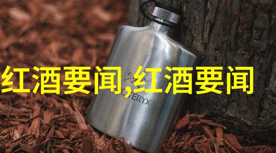 名人传记揭秘成功背后的故事