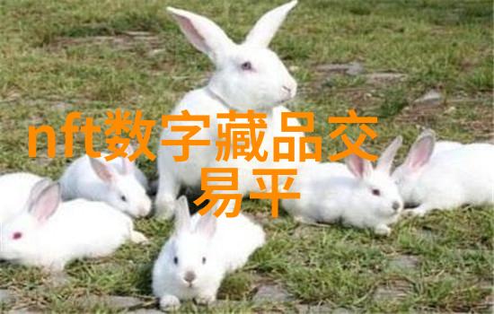 黄台APP软件免费下载糖心我是如何在黄台APP上找到了免费的甜蜜惊喜的