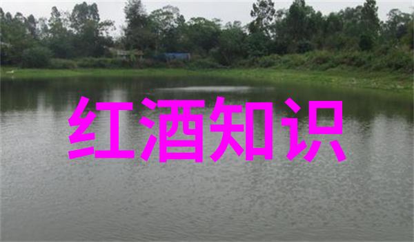走进意大利的托斯卡纳皮埃蒙特了解它最好的葡萄酒种类