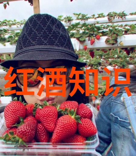 姜可全文免费阅读笔趣阁探索内心世界的旅程