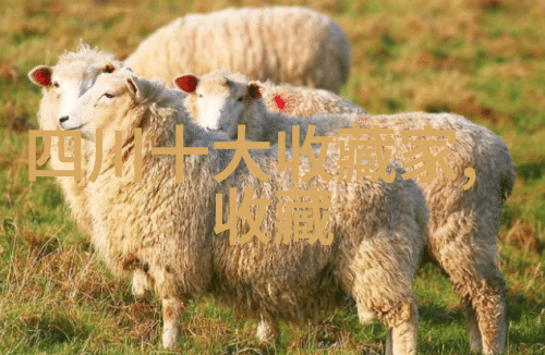 欧洲十大宫殿-探秘欧洲最美的皇家居所历险十座壮观宫殿