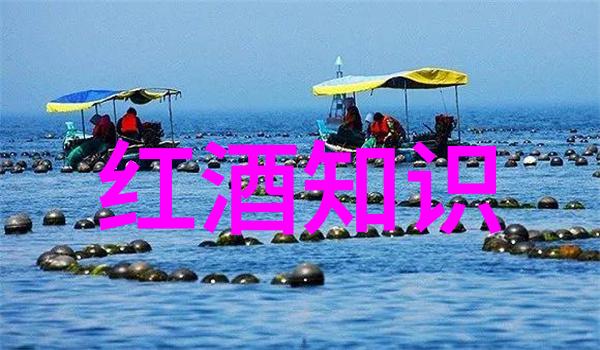 世界上最美的田野一览各大葡萄园景色