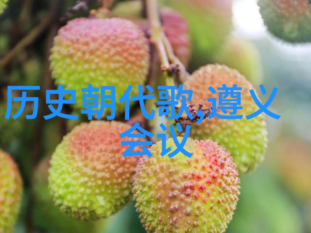 时间的裂缝一位历史人物的未解谜团