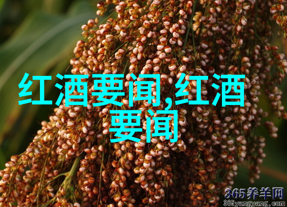古代中国的百合酒犹如红酒庄园中的葡萄
