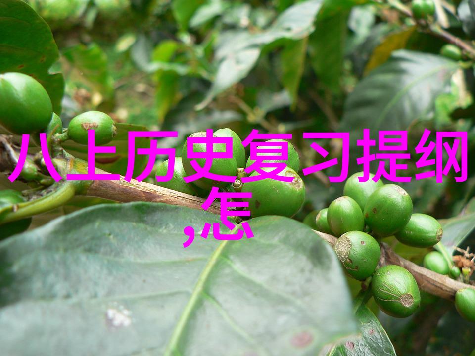 蒙哈榭产区 - 蒙哈榭的香甜诱惑探秘世界上最美味的水果之乡