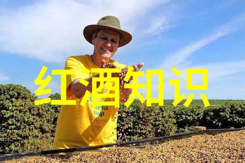 法国餐桌上常见的几种著名红白两类葡萄酒及其搭配建议探讨