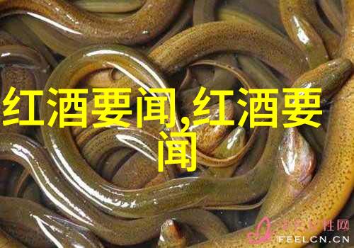云酒窖新疆天山冰湖葡萄酒庄别名酿造梦想的醉人乐园