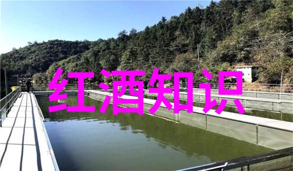 中国葡萄酒发展鼎盛时期的田园牧歌情韵在社会中回响