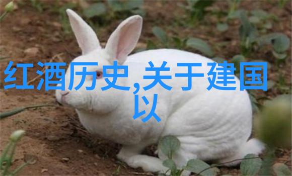 北京庄园开发商老板是谁城中村巨擘的秘密面纱
