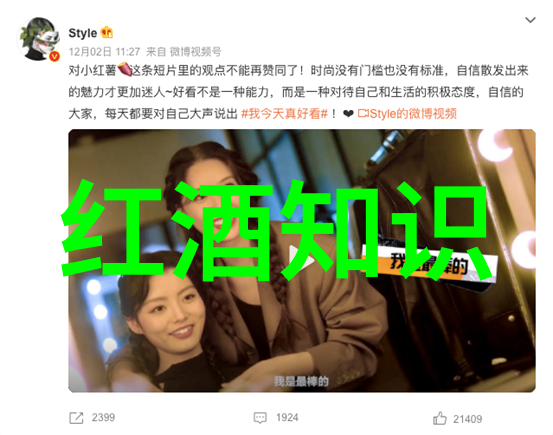 猫品种美短 - 美短猫的魅力与护理技巧
