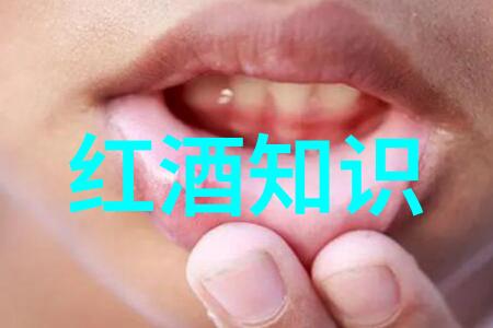 穿越时空探索历史的天空中的古代文明与未来的征程