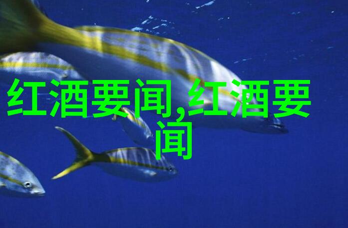 带各位朋友们去深入体验法国世界葡萄酒文化的魅力吧