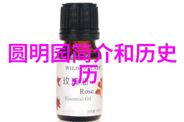 收藏者的心声我对美好事物的执着追求