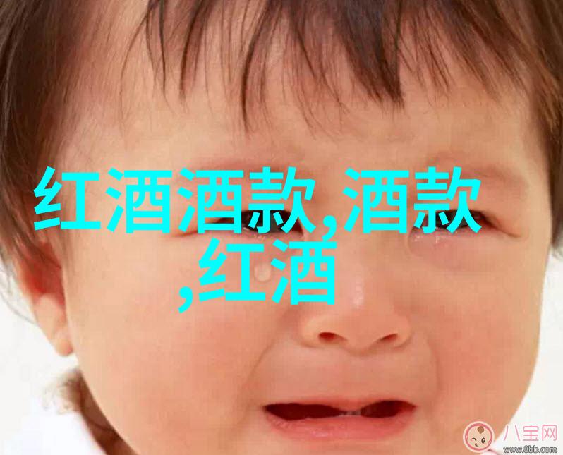 法式美食背后的两大英雄波尔多和布鲁瓦葡萄酒之旅
