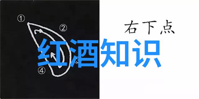 指数基金之选剖析Vanguard 500和SPDR SP 500的区别与优势