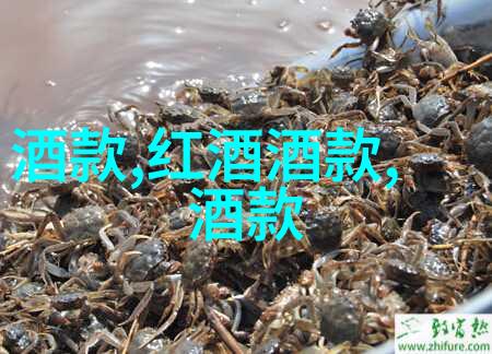 收藏杂志-珍贵期刊探索与收藏杂志的艺术与价值