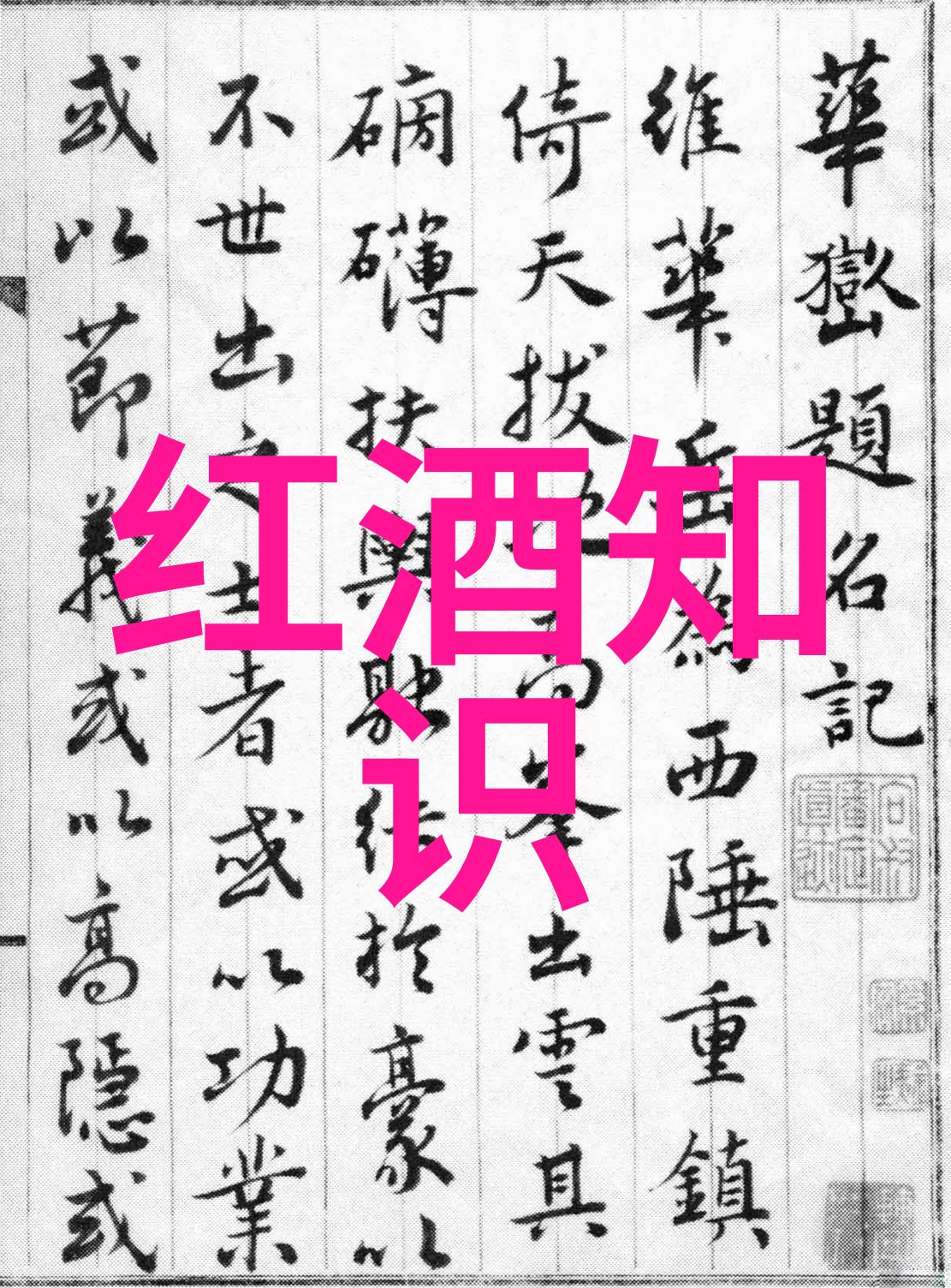 酒桌万能敬酒词让每一杯都充满温情和祝福