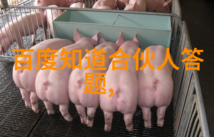 猫的世界九种常见品种的魅力