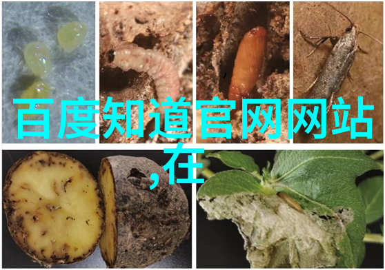 探究真实人物背景图片中的历史文化印记一种跨学科研究的方法论探讨