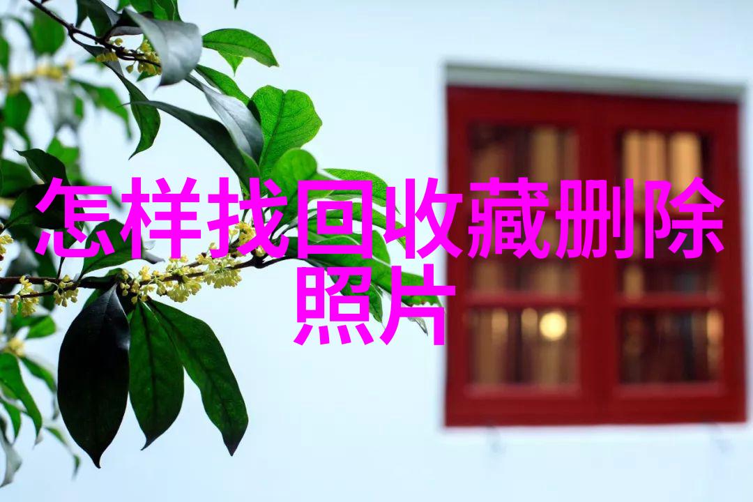 我爱玫瑰揭秘那些美丽的玫瑰花品种名字大全