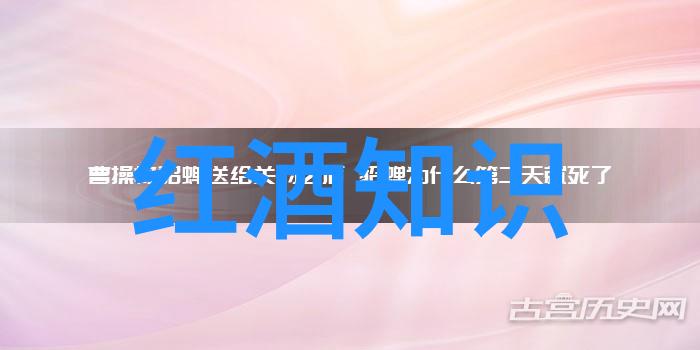 收藏历史 - 古董珍品的故事揭秘人类收藏的悠久历程