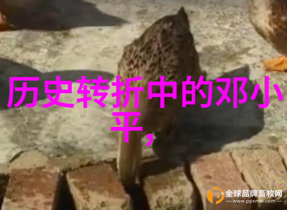 托人艺术探秘揭开147人背后的故事与智慧