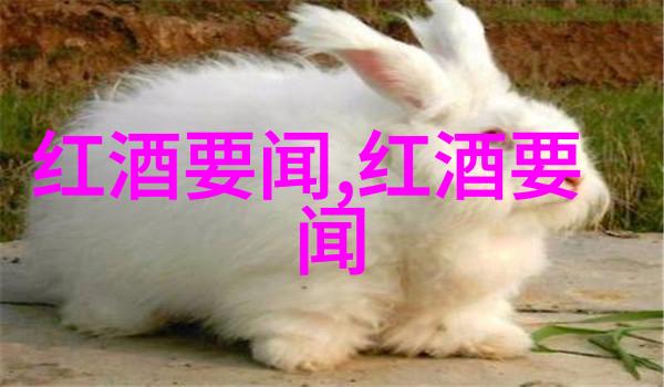 市场之轮揭秘指数基金背后的估值谜团
