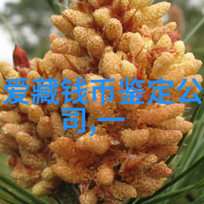 免费旅游必去全球热门景点大汇总