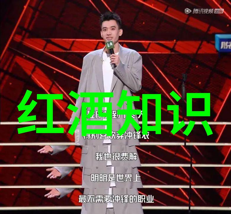 辉煌的荣耀中世纪骑士庄园的传奇
