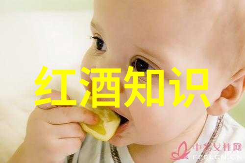 法国最大葡萄酒产地普罗旺斯香浓风情与醇美佳酿相融