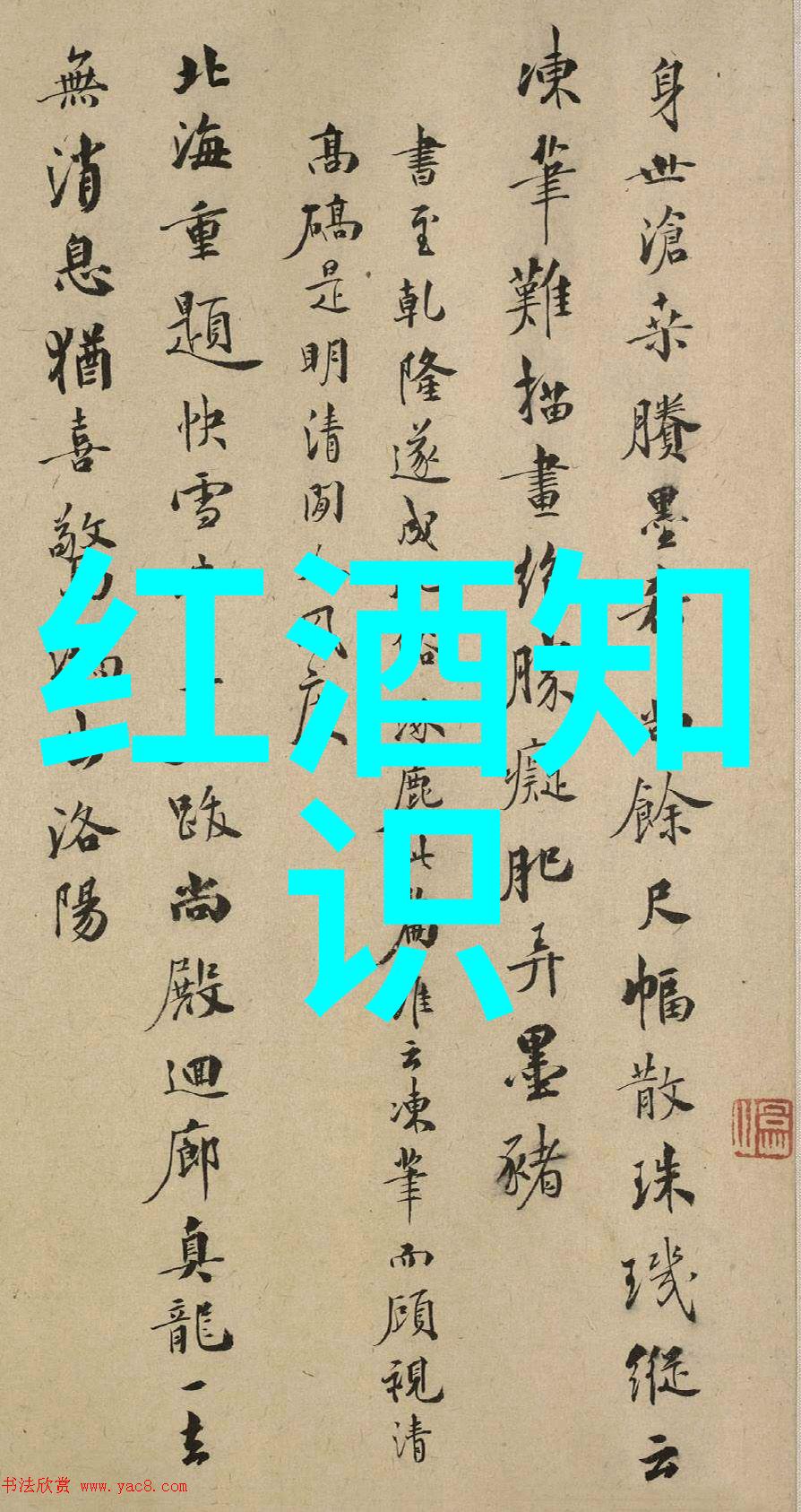 历史的缓冲时光之轮下播放过的影像