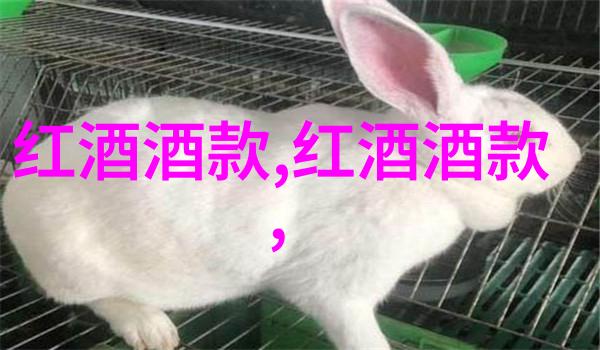 智慧星球智力问答题库的奥秘与挑战