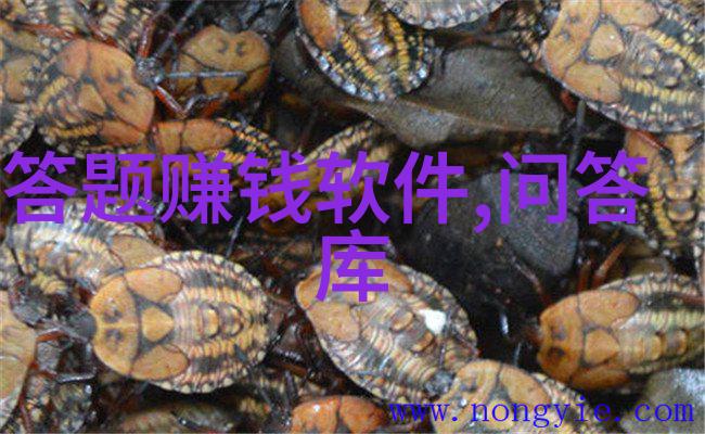 相府千金的治病奇迹