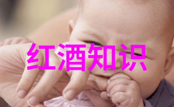 中国梦的守护者们10位当代英雄的事迹探索