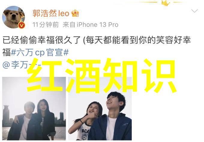 品味红酒文化-醉心于葡萄之香探索古老的酿造技艺与现代品鉴艺术