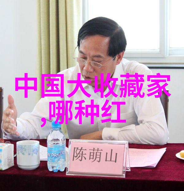 线装书中的美学与历史收集和欣赏中国古典小说艺术作品