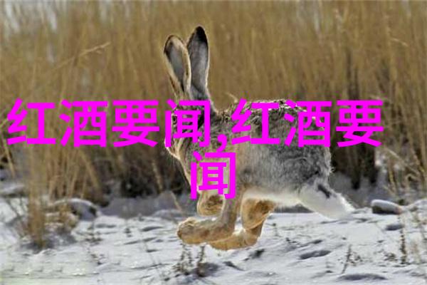 2022浪漫庄园游戏频繁闪退寻求解决之道